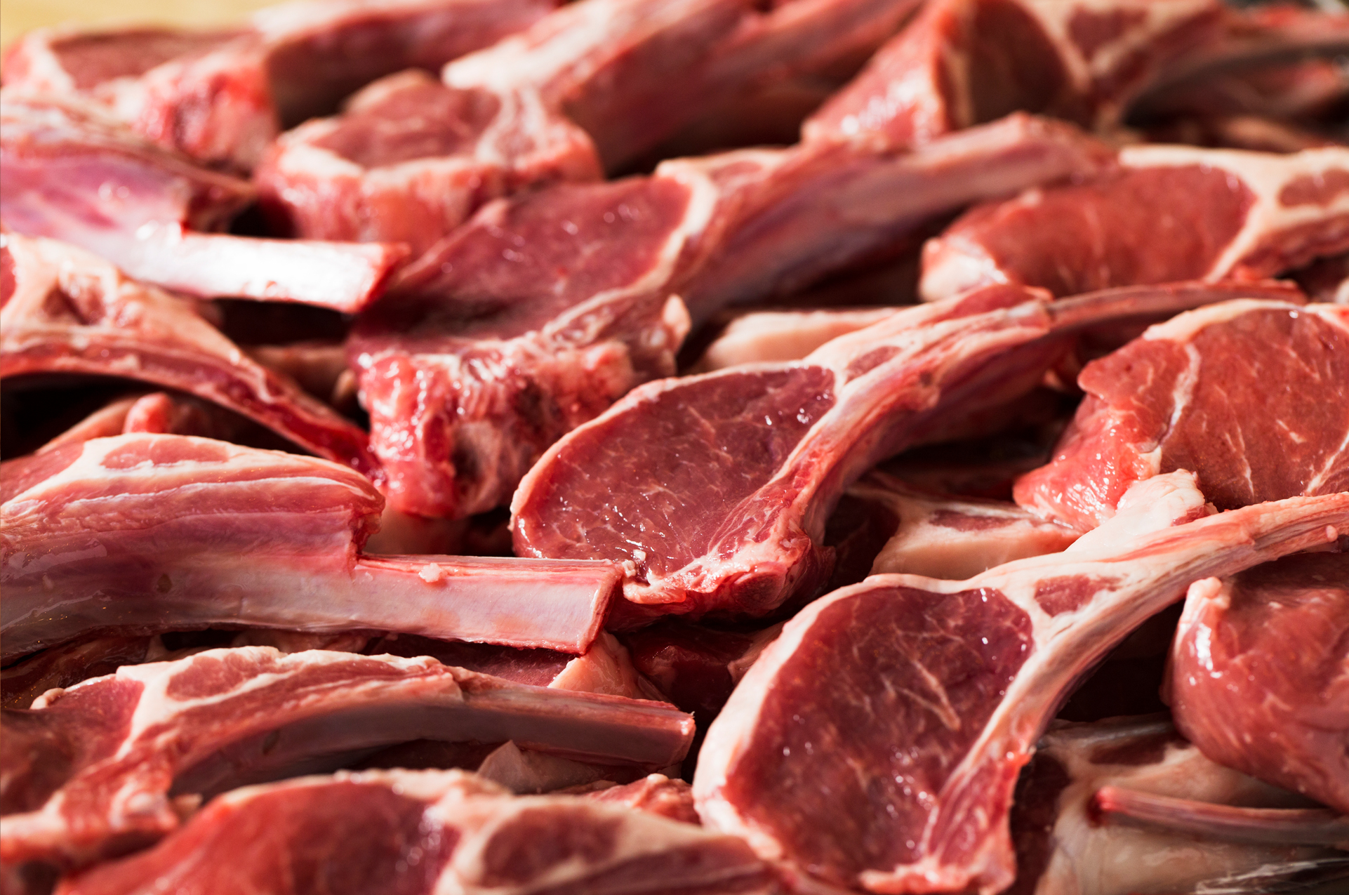 We love Lamb chop